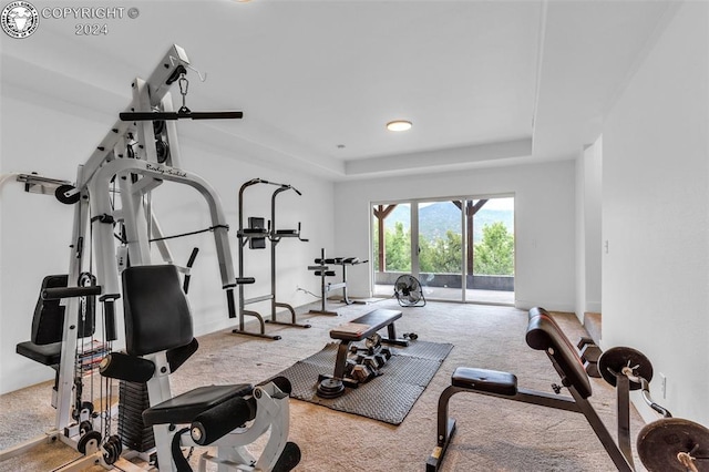 workout area with a raised ceiling and carpet floors