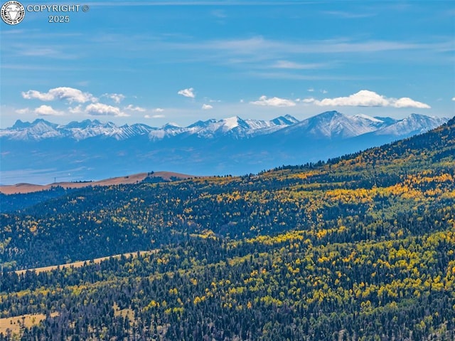 mountain view with a forest view