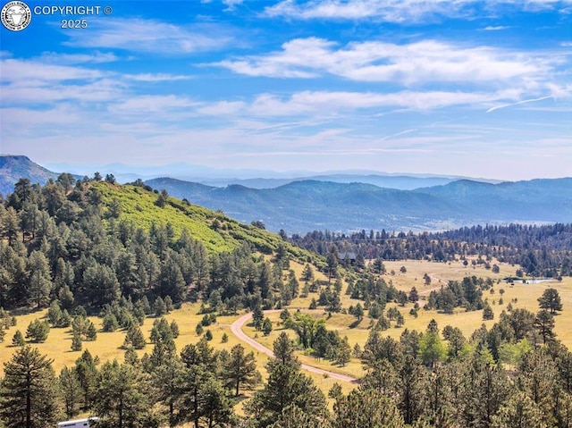 mountain view with a forest view