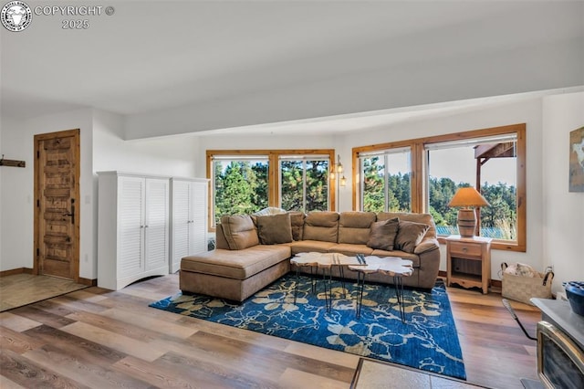 living area featuring plenty of natural light, baseboards, and wood finished floors