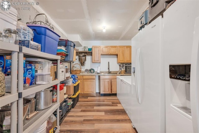 kitchen with white refrigerator with ice dispenser, light wood-type flooring, light brown cabinets, open shelves, and a sink