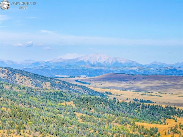 view of mountain feature