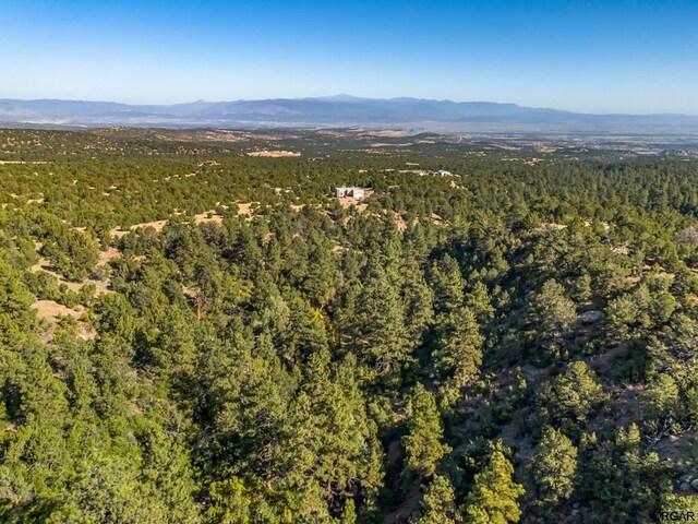 drone / aerial view with a mountain view