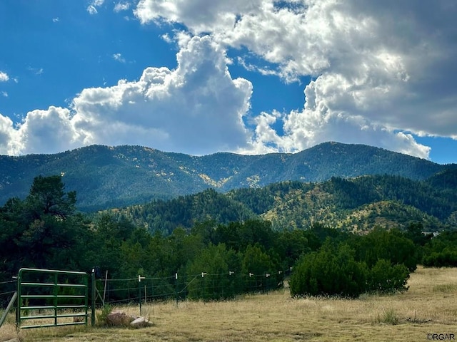 property view of mountains with a rural view