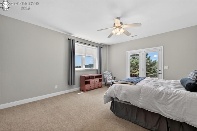 369 Canterbury Ct, Canon City, CO 81212 - photo 20