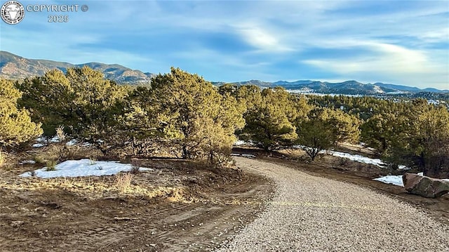 516 Durfee Cir, Westcliffe CO, 81252 land for sale