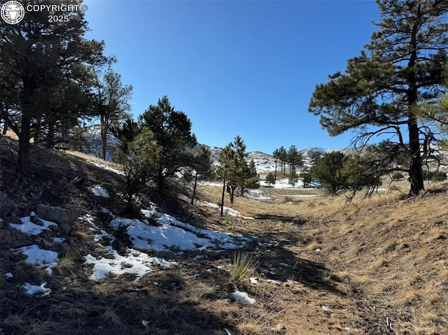 Listing photo 3 for TR22 34th Trl, Cotopaxi CO 81223