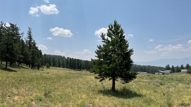 Listing photo 2 for LOT54 Democrat Cir, Westcliffe CO 81252