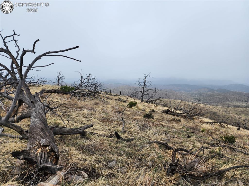 000 K Path, Cotopaxi, CO 81223 - photo 3