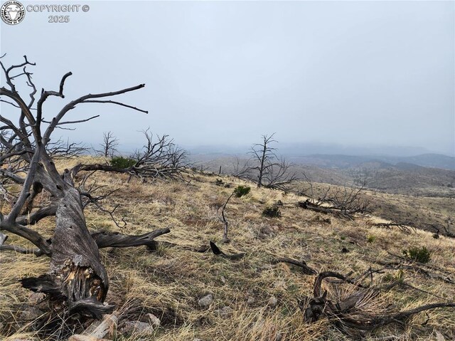 000 K Path, Cotopaxi, CO 81223 - photo 3