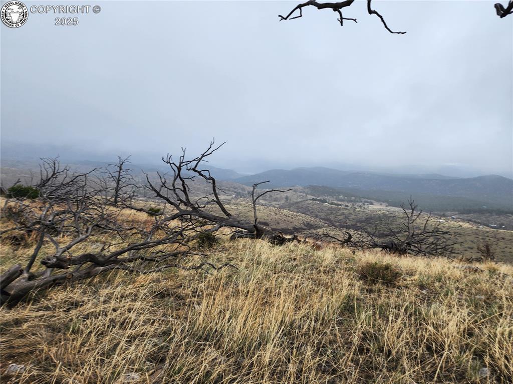 000 K Path, Cotopaxi, CO 81223 - photo 4