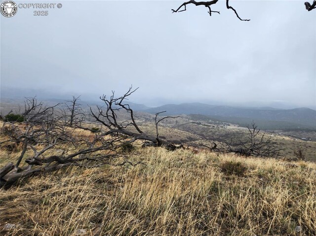 000 K Path, Cotopaxi, CO 81223 - photo 4
