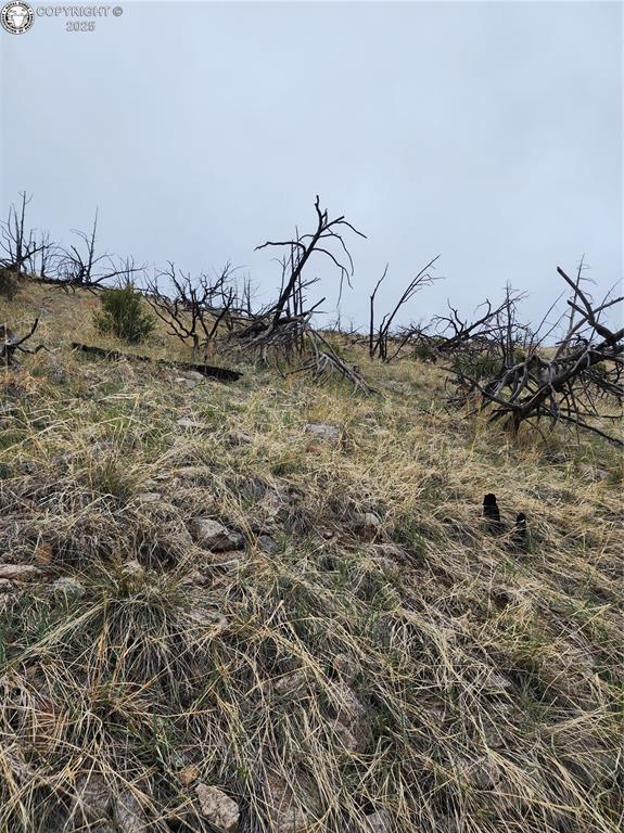 000 K Path, Cotopaxi, CO 81223