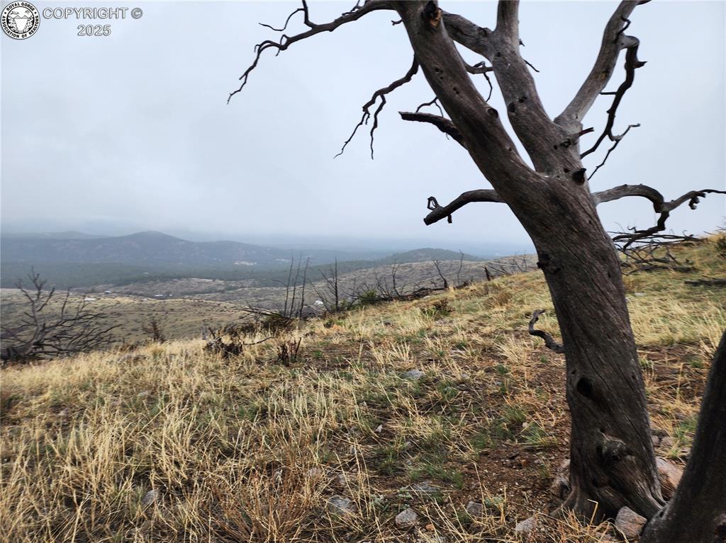 000 K Path, Cotopaxi, CO 81223 - photo 1