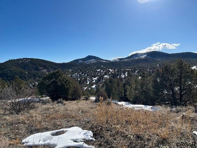 Listing photo 2 for 3500 Indian Wells Rd, Cotopaxi CO 81223