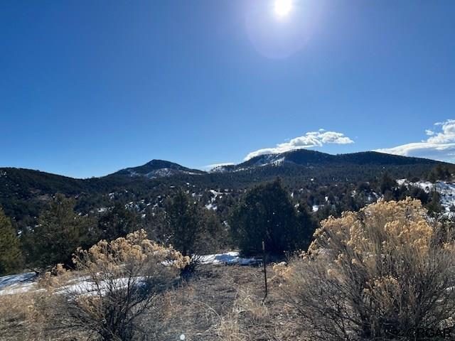 Listing photo 3 for 3500 Indian Wells Rd, Cotopaxi CO 81223