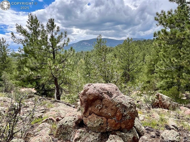 5816 Autumn Creek Dr, Canon City, CO 81212 - photo 2