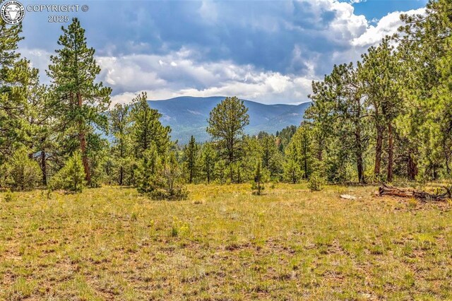 5816 Autumn Creek Dr, Canon City, CO 81212 - photo 21