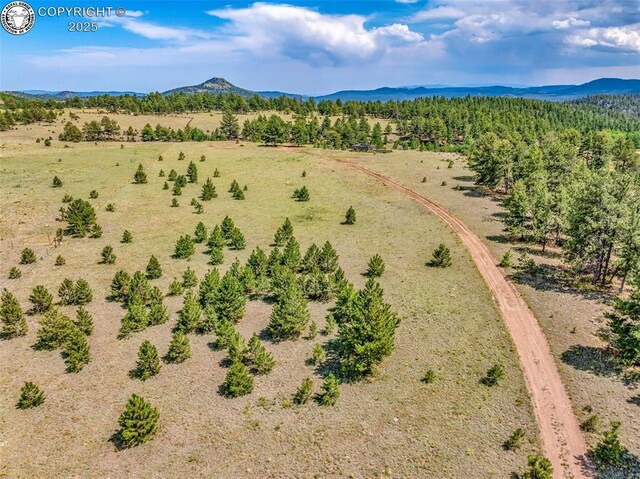 5816 Autumn Creek Dr, Canon City, CO 81212 - photo 31