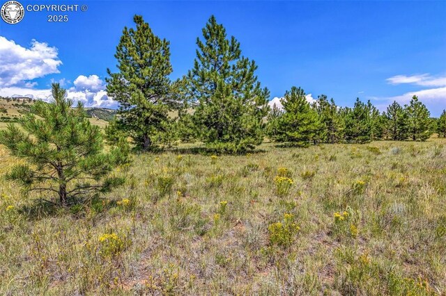5816 Autumn Creek Dr, Canon City, CO 81212 - photo 20