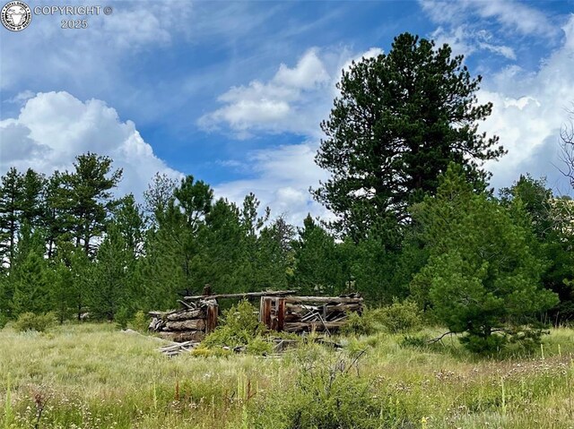 5816 Autumn Creek Dr, Canon City, CO 81212 - photo 12