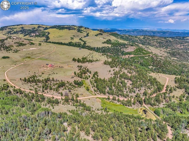 5816 Autumn Creek Dr, Canon City, CO 81212 - photo 32