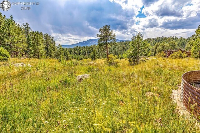 5816 Autumn Creek Dr, Canon City, CO 81212 - photo 22