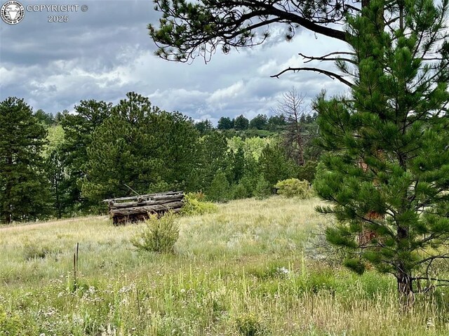5816 Autumn Creek Dr, Canon City, CO 81212 - photo 5