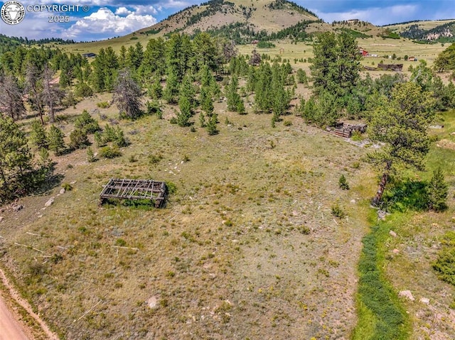 5816 Autumn Creek Dr, Canon City, CO 81212 - photo 24