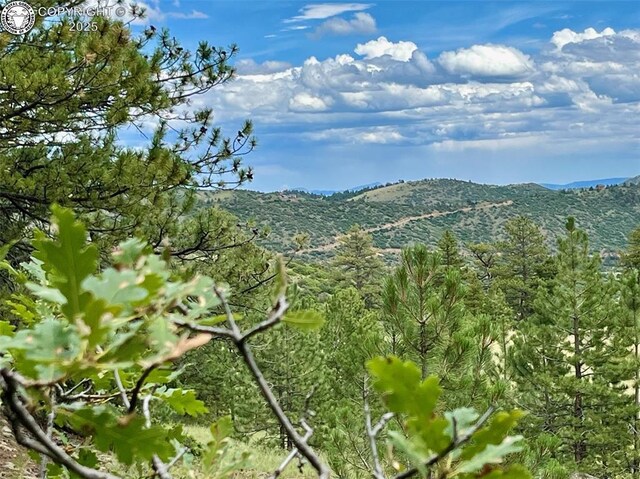 5816 Autumn Creek Dr, Canon City, CO 81212 - photo 18