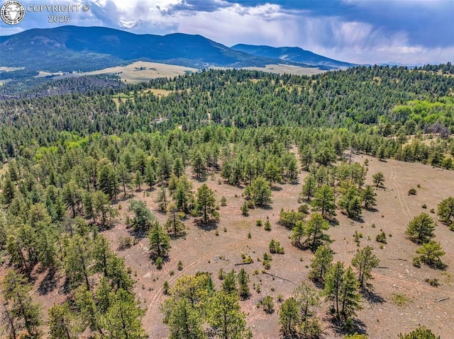 5816 Autumn Creek Dr, Canon City, CO 81212 - photo 28
