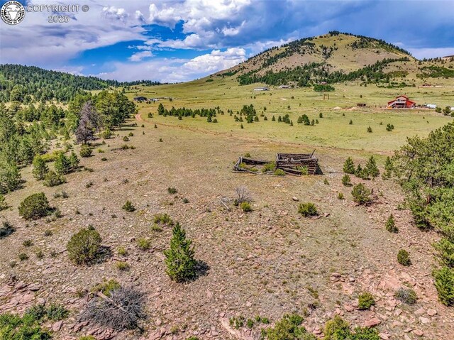 5816 Autumn Creek Dr, Canon City, CO 81212 - photo 29