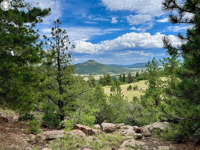 5816 Autumn Creek Dr, Canon City, CO 81212 - photo 1