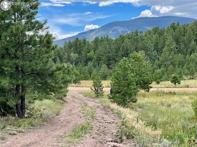 5816 Autumn Creek Dr, Canon City, CO 81212 - photo 6