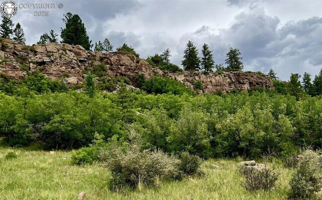5816 Autumn Creek Dr, Canon City, CO 81212 - photo 4