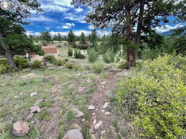5816 Autumn Creek Dr, Canon City, CO 81212 - photo 8