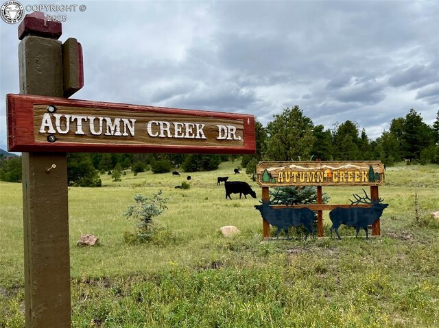 5816 Autumn Creek Dr, Canon City, CO 81212 - photo 36
