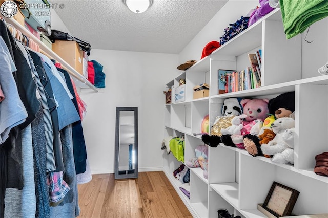 spacious closet with hardwood / wood-style floors