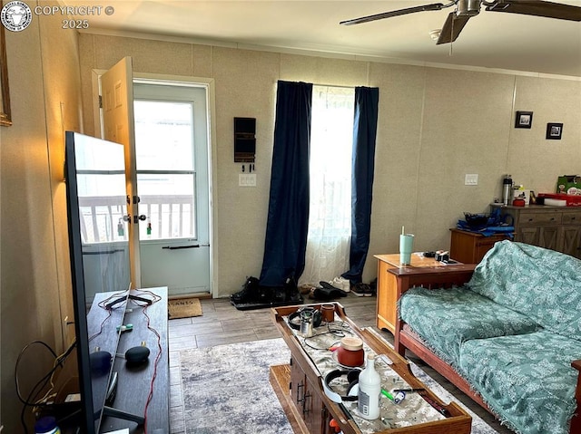 2401 Central Ave Unit 10, Canon City, CO 81212 - photo 5