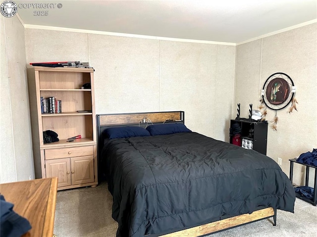 2401 Central Ave Unit 10, Canon City, CO 81212 - photo 13