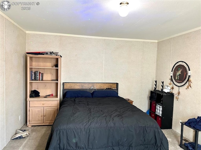 2401 Central Ave Unit 10, Canon City, CO 81212 - photo 12