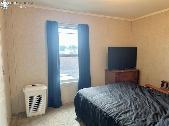 2401 Central Ave Unit 10, Canon City, CO 81212 - photo 24