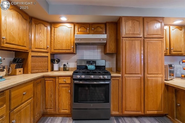 kitchen featuring backsplash, gas range, and dark wood-type flooring