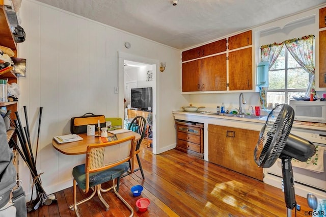 kitchen featuring sink and dark hardwood / wood-style flooring