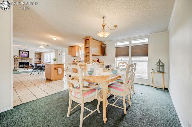 966 County Rd 411, Florissant, CO 80816 - photo 21