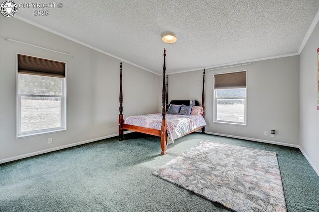 966 County Rd 411, Florissant, CO 80816 - photo 14