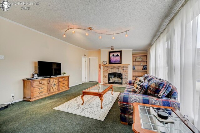 966 County Rd 411, Florissant, CO 80816 - photo 30