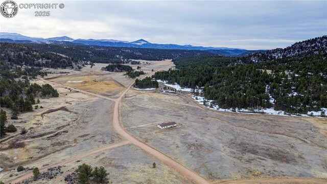 966 County Rd 411, Florissant, CO 80816 - photo 49