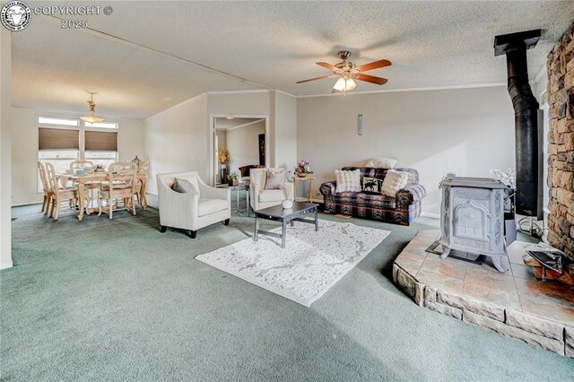 966 County Rd 411, Florissant, CO 80816 - photo 8