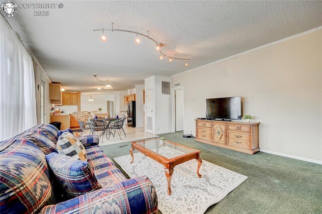 966 County Rd 411, Florissant, CO 80816 - photo 32